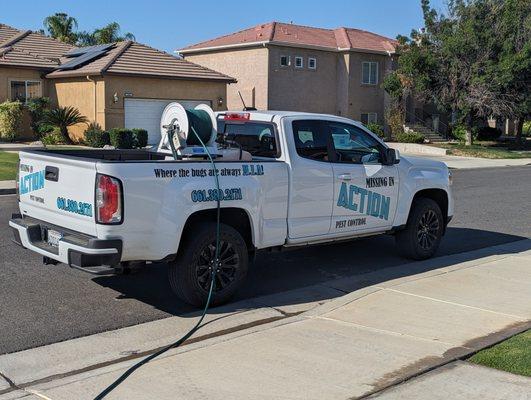 Missing In Action Pest Control