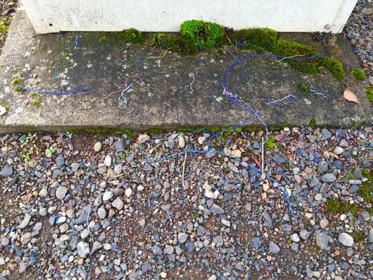 CenturyLink techs leave their wires for me to clean up every time they stop by. Thank you techs!