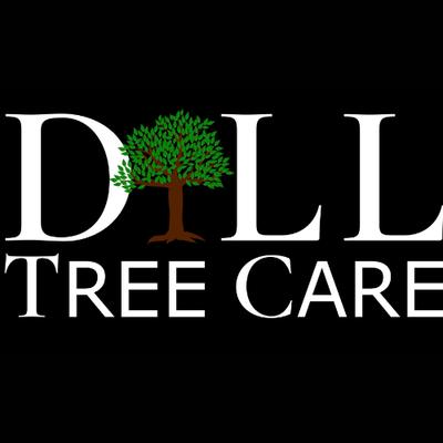 Dill Tree Care