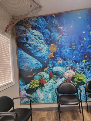 Steve Koplow, DDS