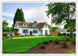 Professional Oriental Gardeners