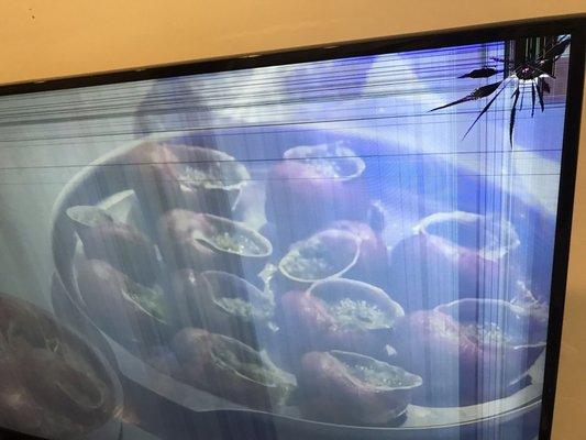 Precious Possessions Moving Systems