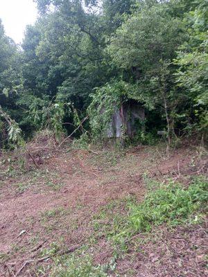 Youngs Property Maintenance