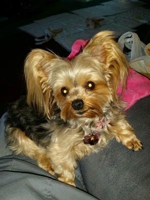 Lindas Groomin & Roomin