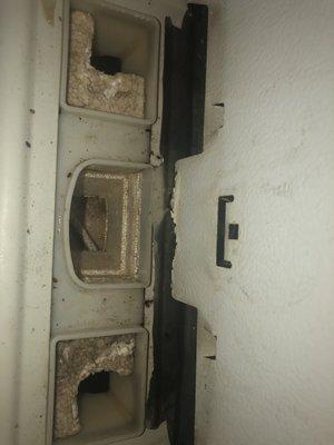 Same thing when I took the back off the freezer. Isn't it beautiful droppings galore, and urine.