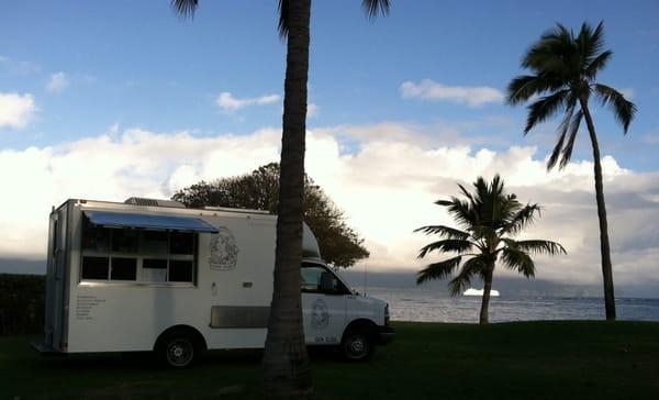 Gypsy, oceanfront at a private event in Sprecklesville, Maui