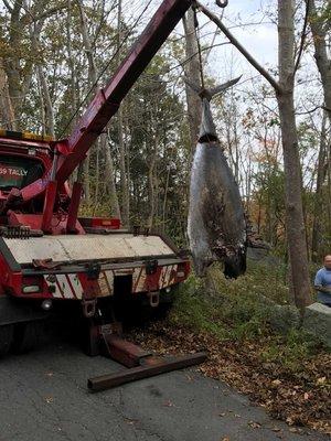 Tally's Truck Center