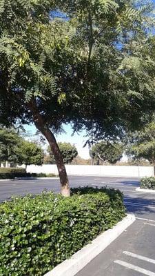 Technical Staffing Resources