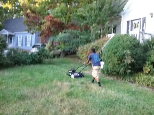 Lawn mowing