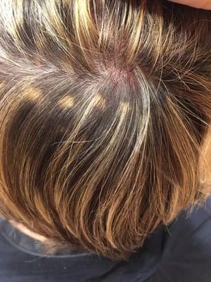 Terrible highlight job! Spent 80$ to get hair pulled through cap! Cut over 5 inches off as well! Very disappointed!