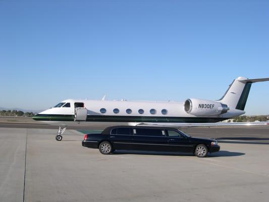 Located Directly @ Palomar/CRQ