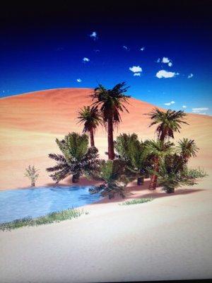 "Relief is Possible" 704 566-9437