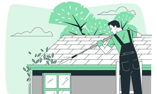 D&L Roof Cleaning and Trash Removal