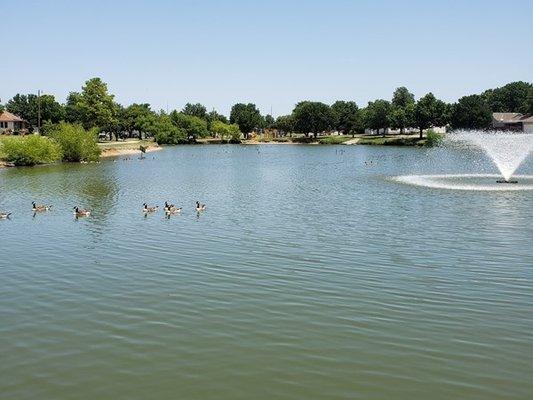 Great locations walking tracks around beautiful lakes American Realty did great for us.