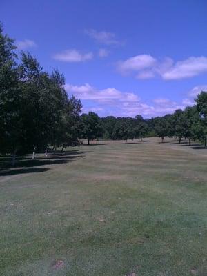 Balmoral North Par 3 & Driving Range