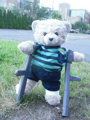 Bernard A Roehr, MD