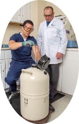 Stem Cells may hold the Key to unlocking our own body's healing potential to Repair, Regenerate and Renew