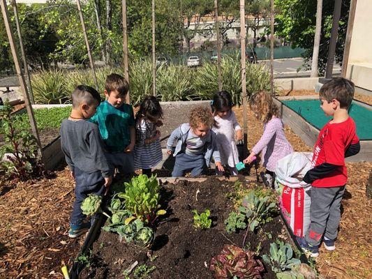 We are appreciative of nature and integrate our outdoor spaces to promote exploration, responsibility, and environmental awareness.