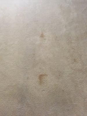 ABC Air duct and Carpet