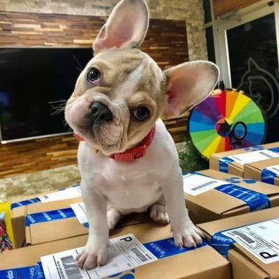 Yahweh Enterprise Services