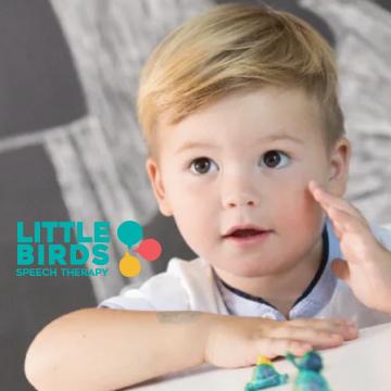 | Little Birds Speech Therapy | "Where kids take flight!