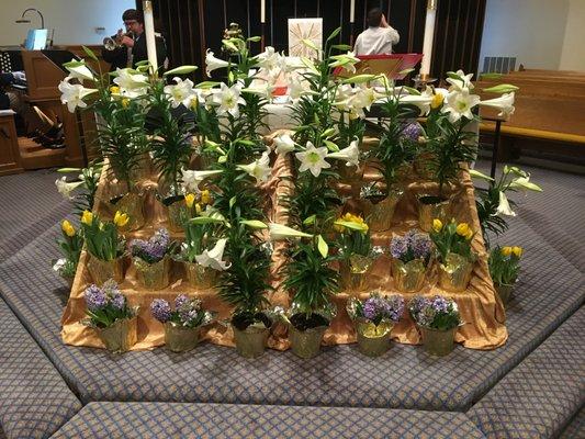 Good Shepherd Lutheran Church