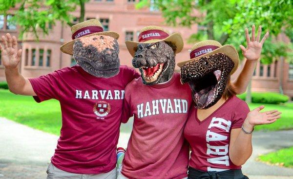 Harvard Undergraduate Council