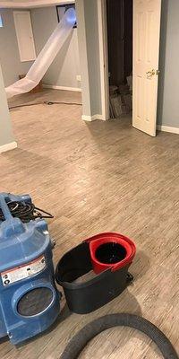 Max Mold Remediation