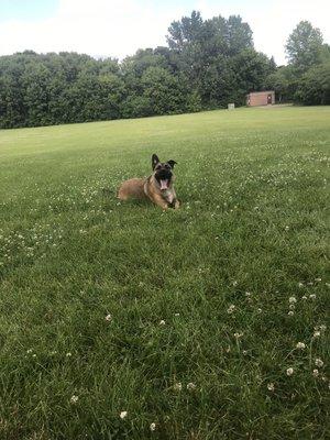 H@A Professional cleaning