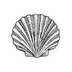 Coastal Community Insurance Agency