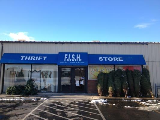 Fish Thrift Store