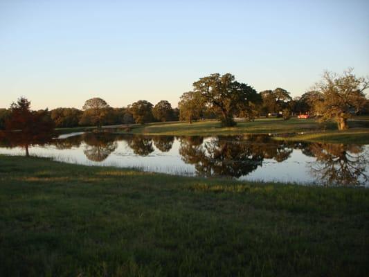 Live Oak Pet Services