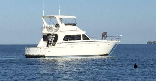 Suncoast Yacht Charters