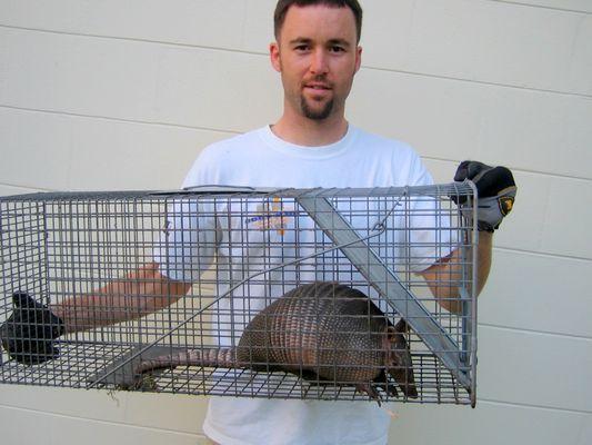 Wildlife Removal Pro Southeast Kansas