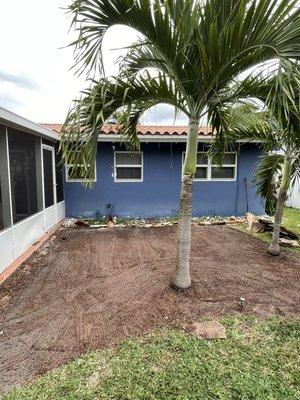 Beachside Pool & Garden