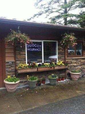 Budget Insurance