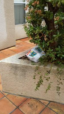 Chateau Canoga Apartments