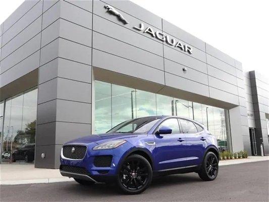 Jaguar Clearwater