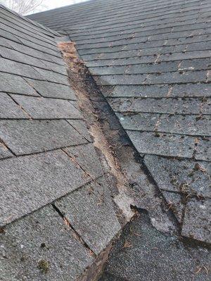 Machutas Handyman Services