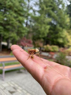 Prince of Peace Catholic Church