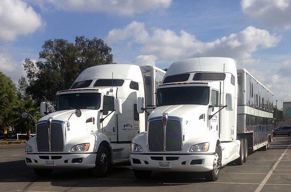 Porter Horse Transportation