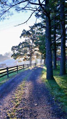 Stone driveway deliveries