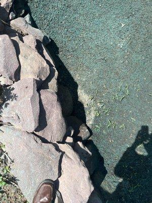 Nelson Asencio Landscaping