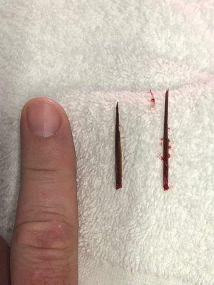 The Metrohealth System