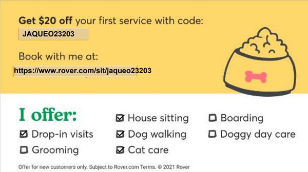 Jackie’s Pet sitter Dog Walk