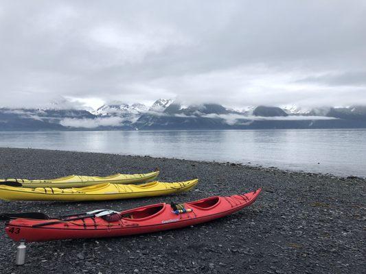 Sunny Cove Sea Kayaking