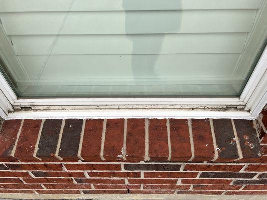 MaxPro Window Cleaning