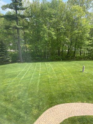Trophy Lawns