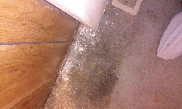 Sierra Shadows Mobile Home Community