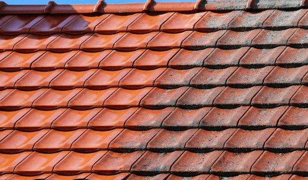 Metro Property Maintenance